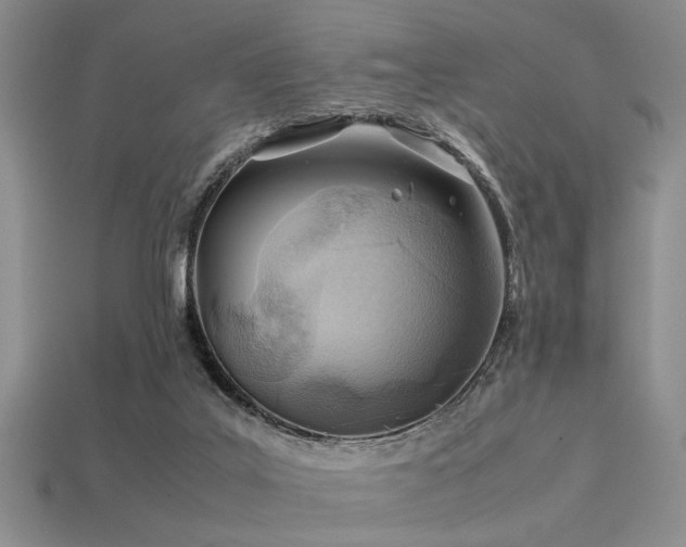X0000113540019200909181207