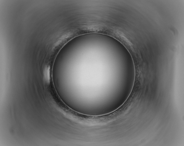 X0000113540020200909181207