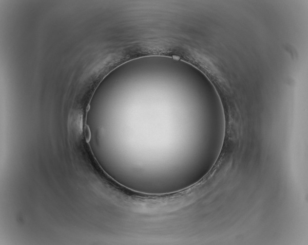 X0000113540021200909181207