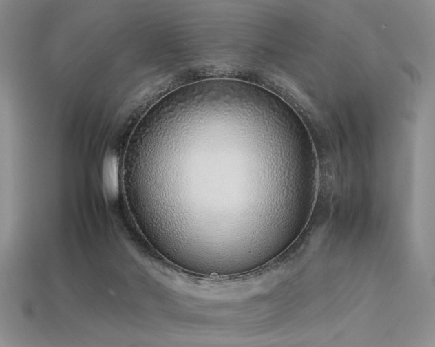 X0000113540022200909181207