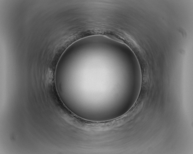 X0000113540025200909181207