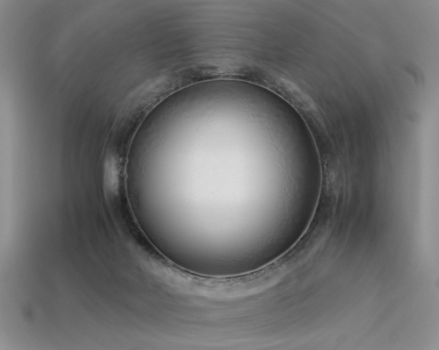 X0000113540026200909181207