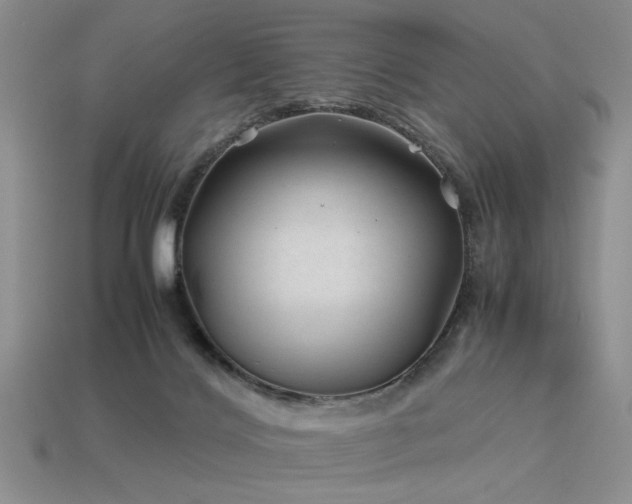 X0000113540028200909181207