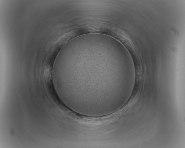 X0000113540029200909181207