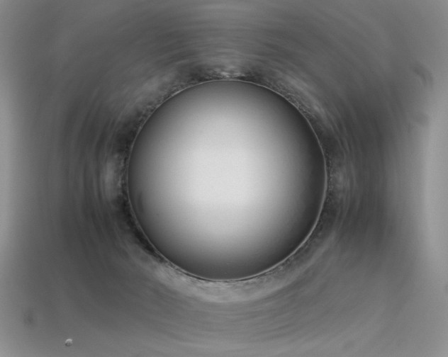 X0000113540030200909181207