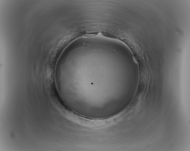 X0000113540031200909181207