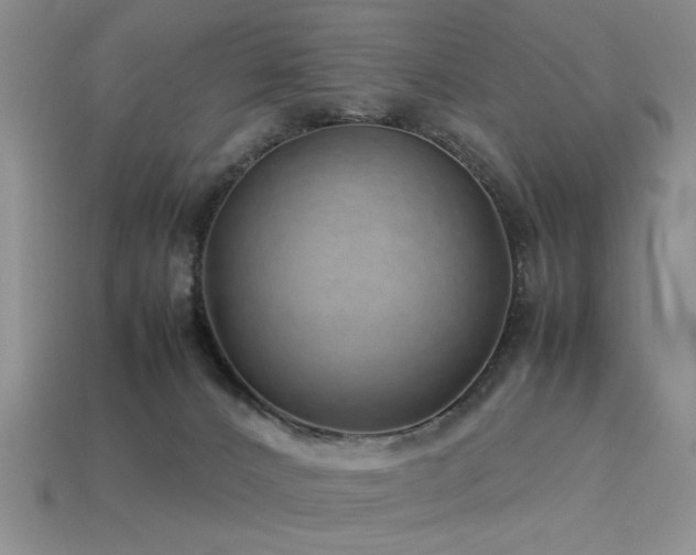 X0000113540032200909181207