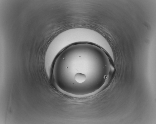 X0000113540033200909181207