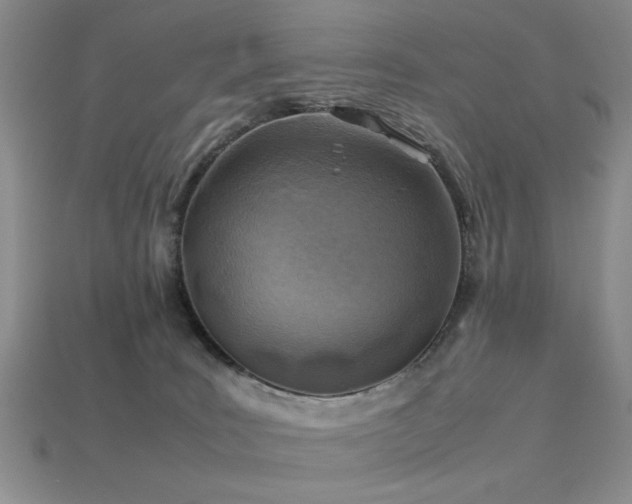 X0000113540035200909181207