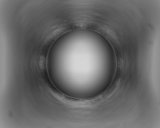X0000113540036200909181207