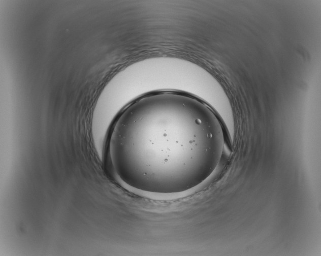 X0000113540037200909181207