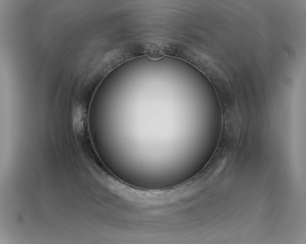 X0000113540038200909181207