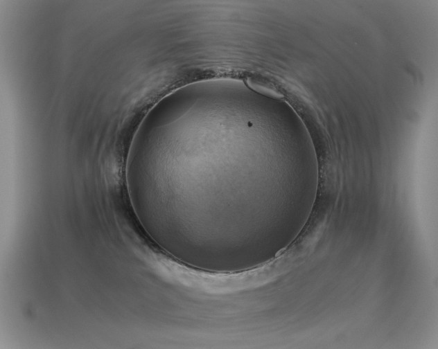 X0000113540039200909181207