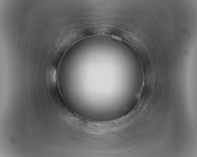 X0000113540041200909181207