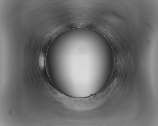 X0000113540042200909181207