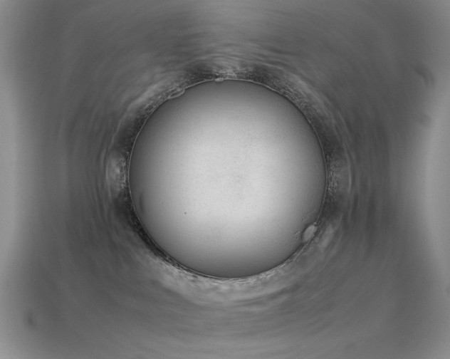 X0000113540043200909181207