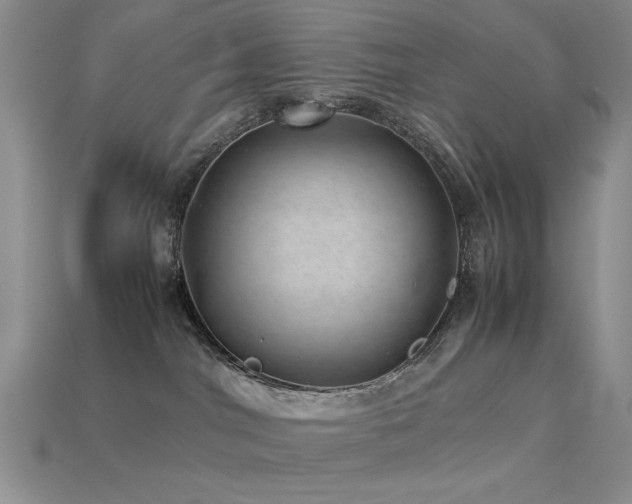 X0000113540044200909181207