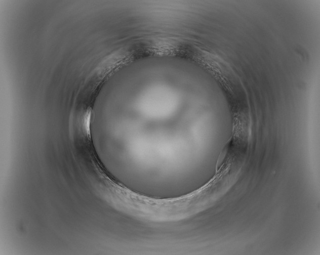 X0000113540047200909181207