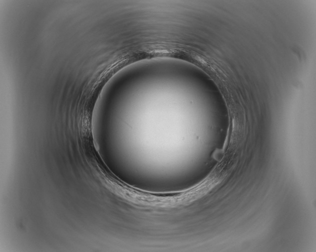 X0000113540048200909181207