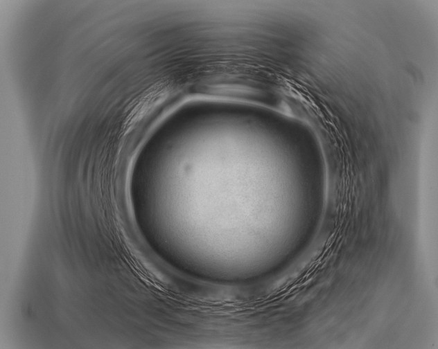 X0000113540049200909181206