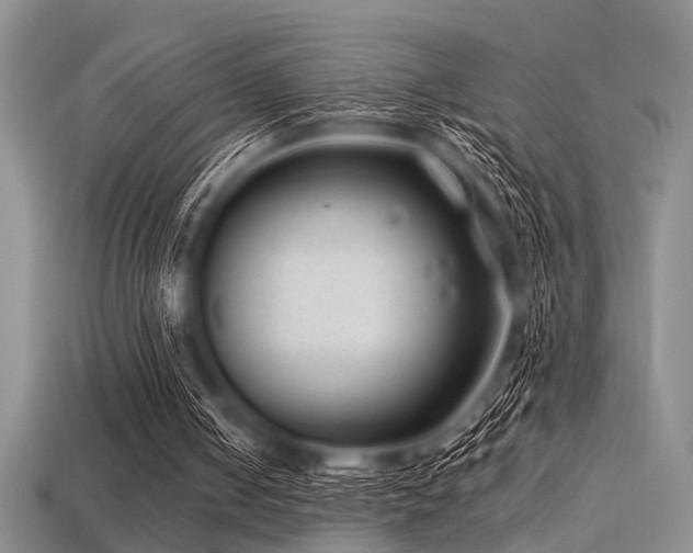 X0000113540050200909181206