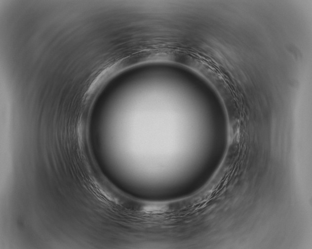 X0000113540051200909181206