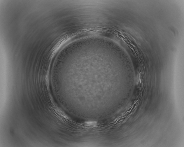 X0000113540052200909181206