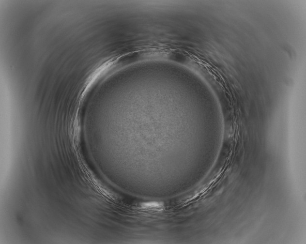 X0000113540053200909181206