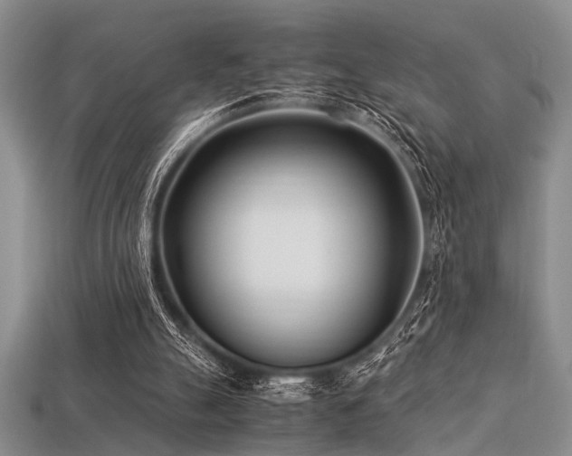 X0000113540055200909181206