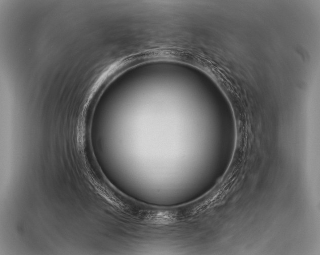 X0000113540056200909181206