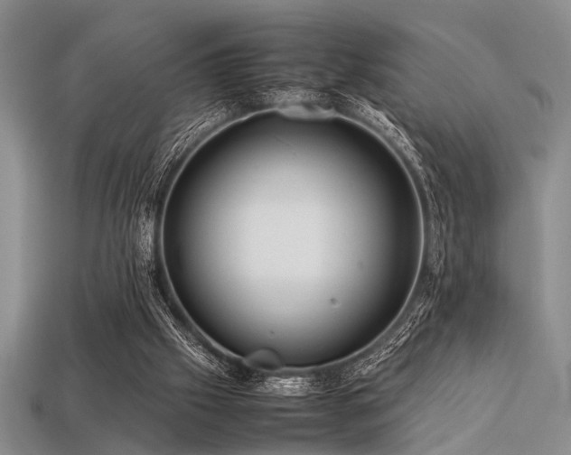 X0000113540057200909181206