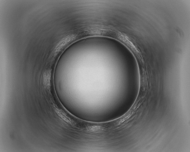 X0000113540058200909181206