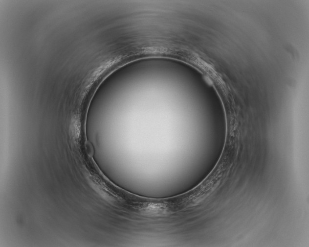 X0000113540060200909181206