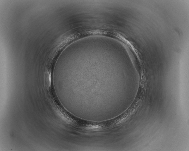 X0000113540061200909181206