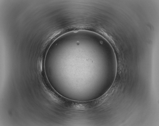 X0000113540062200909181206