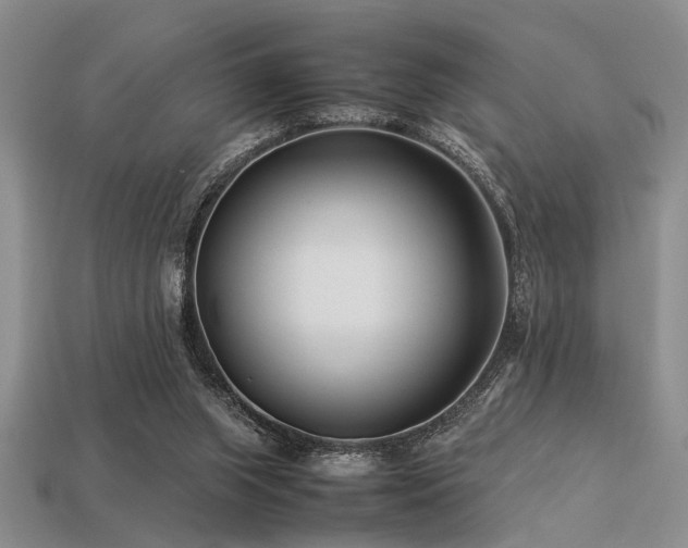X0000113540063200909181206