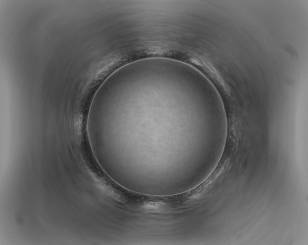 X0000113540066200909181206