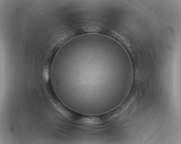 X0000113540069200909181206