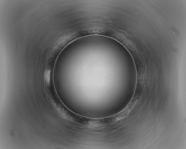 X0000113540070200909181206