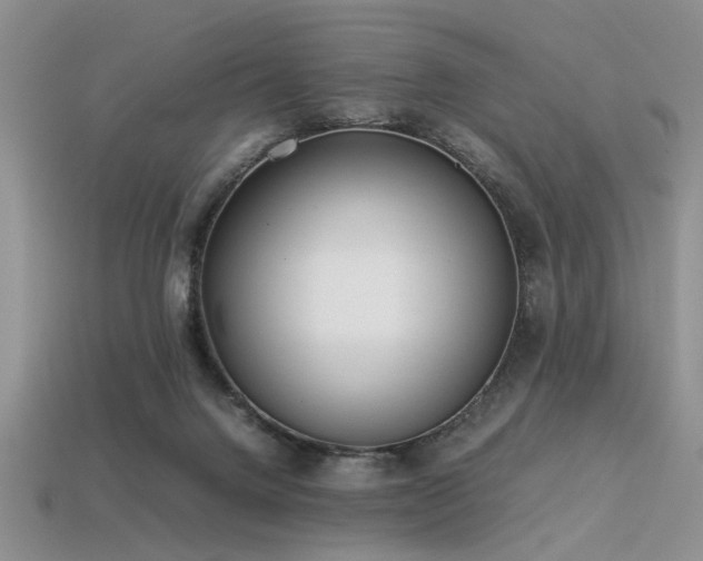 X0000113540072200909181206
