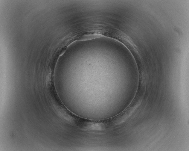 X0000113540073200909181206