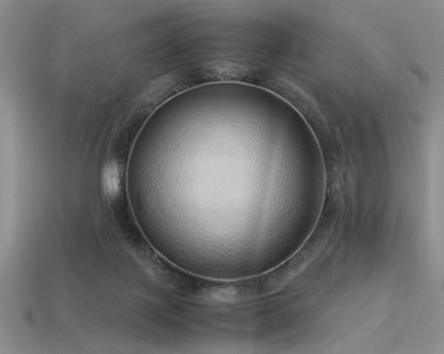 X0000113540075200909181206