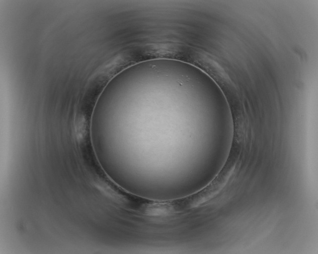 X0000113540077200909181206