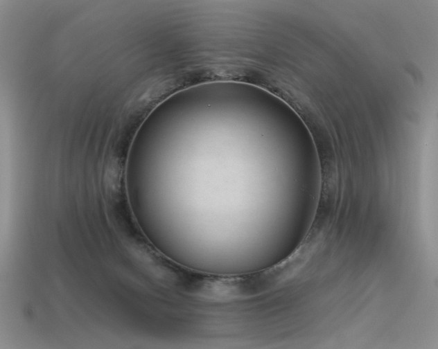 X0000113540078200909181206