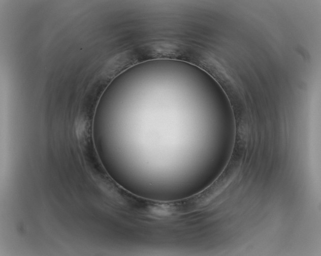 X0000113540079200909181206