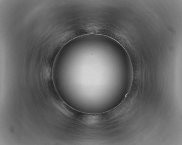 X0000113540081200909181206