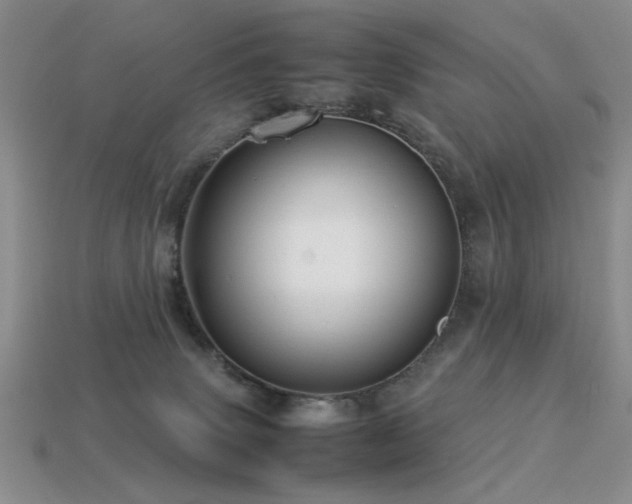 X0000113540083200909181206
