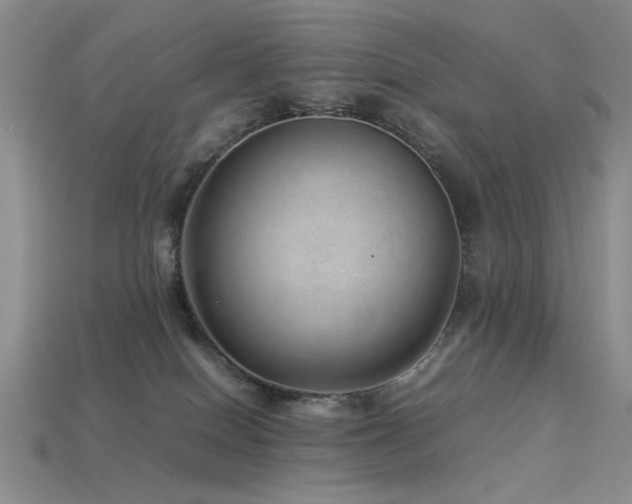 X0000113540086200909181206