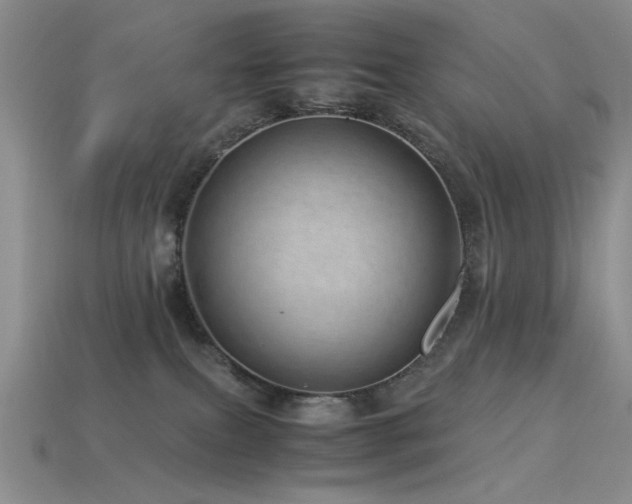X0000113540087200909181206
