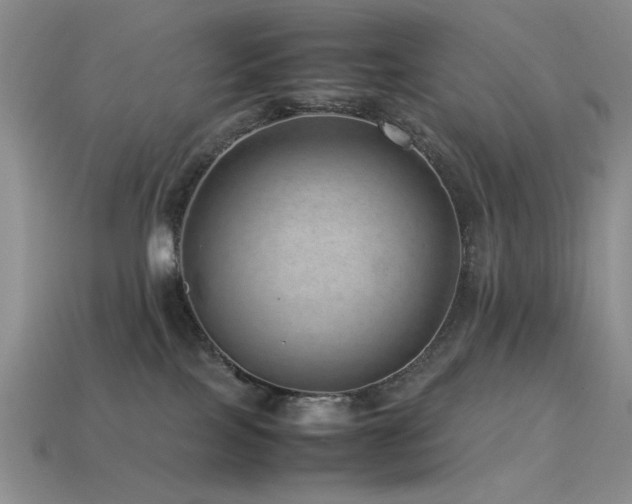 X0000113540089200909181206